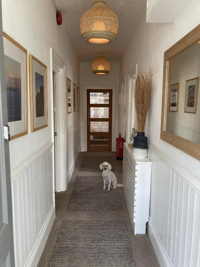 Summer Breeze New Quay Exterior foto